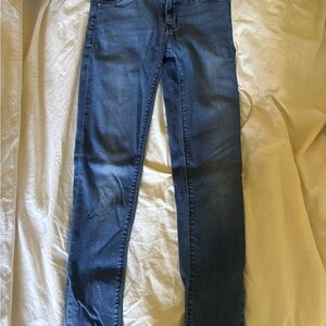 Hudson Jeans Medium Wash Women's Skinny Jeans